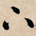 下