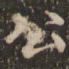 公