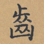 齿