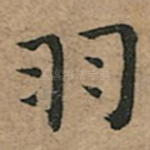 羽
