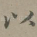 以