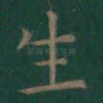 生