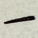 一