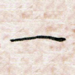 一