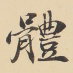 體