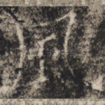 风