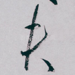 夫