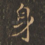 身