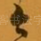之