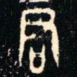 君