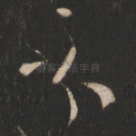 示