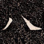 八