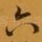六