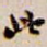此