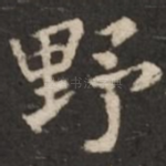 野