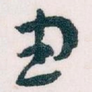 由