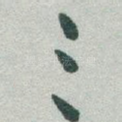 三