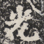 光