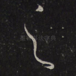 之