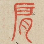 肩
