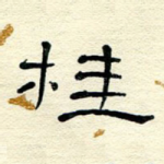 桂