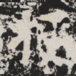 授
