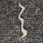 之