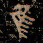 隹