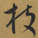 枝