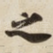 子