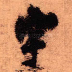 宇