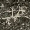 共