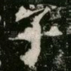 子