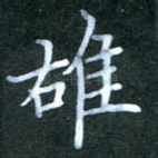 雄