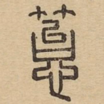 苔