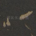 心