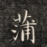 蒲