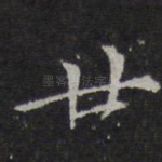 廿