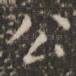 公