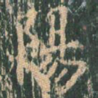 阳