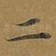 二