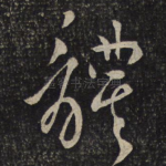 体