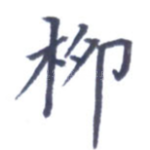 柳