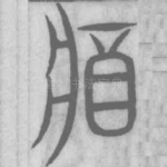 酱