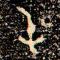 屯
