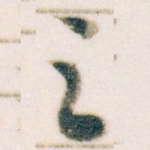 之