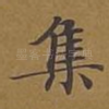 集