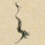 之
