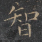 智