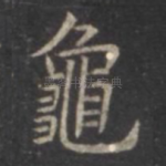 龟